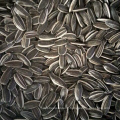 The Top Quality of New Crop 2019 Sunflower Seeds Type No.5009